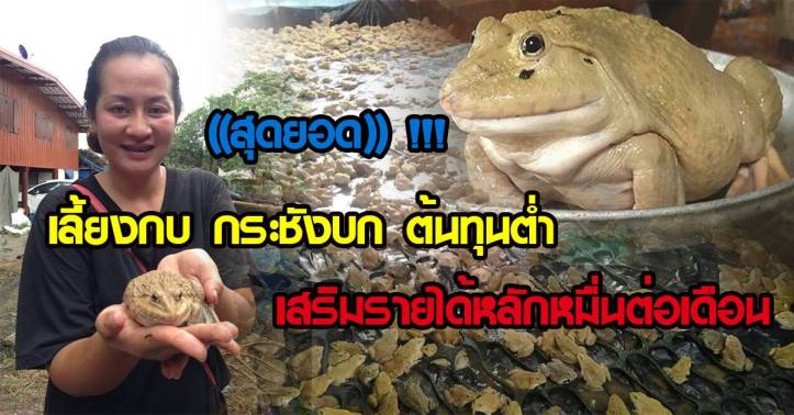 36121253_955697981275437_7436297296733536256_n